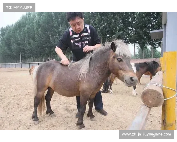 赛马文化探索之旅最优马匹与顶级马厩的完美结合